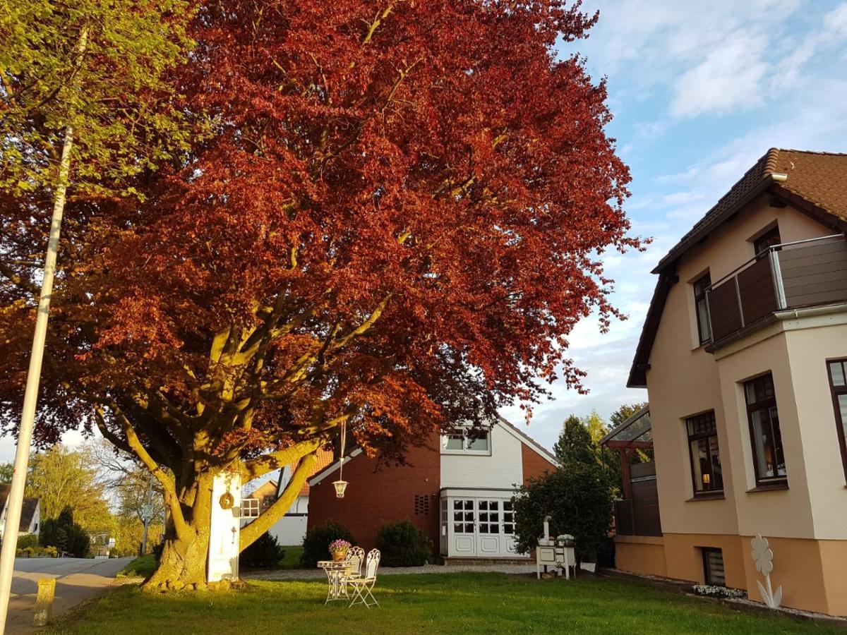 Ostsee Ferienwohnung Pelzerhaken ノイシュタット・イン・ホルシュタイン エクステリア 写真